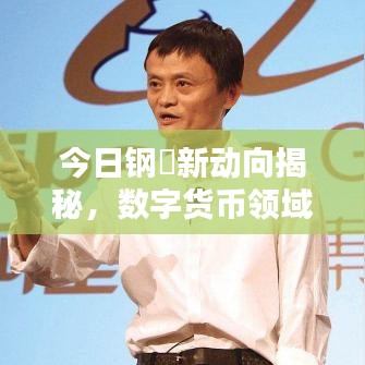 今日钢镚新动向揭秘，数字货币领域的全新探索