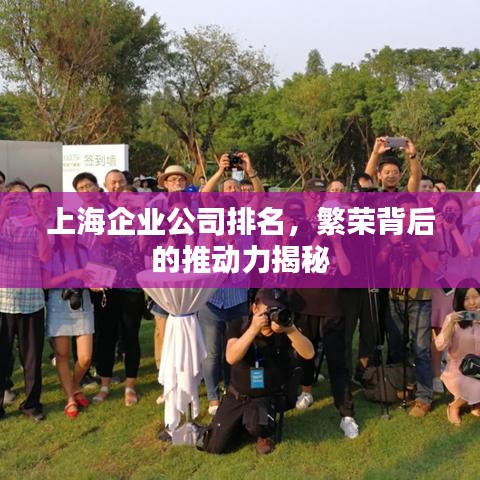 上海企业公司排名，繁荣背后的推动力揭秘