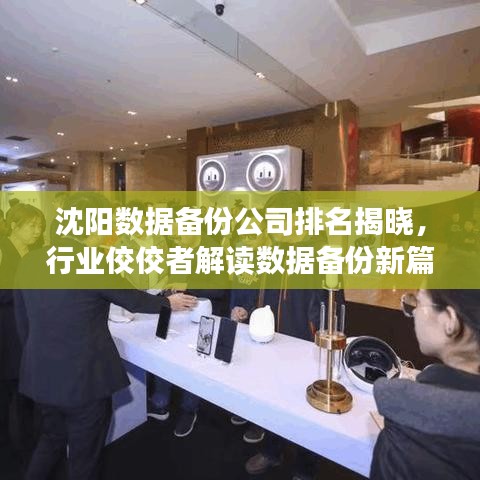 沈阳数据备份公司排名揭晓，行业佼佼者解读数据备份新篇章
