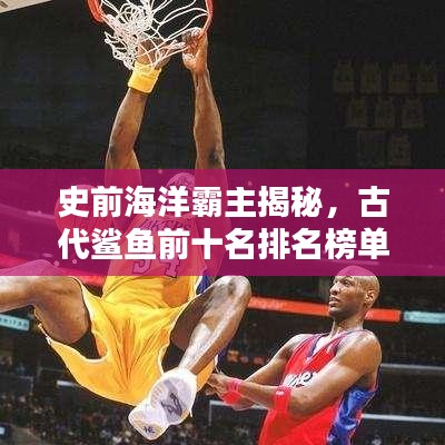 史前海洋霸主揭秘，古代鲨鱼前十名排名榜单！