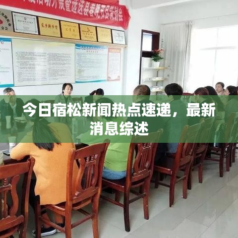 今日宿松新闻热点速递，最新消息综述