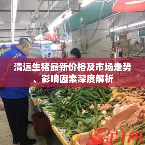 清远生猪最新价格及市场走势、影响因素深度解析