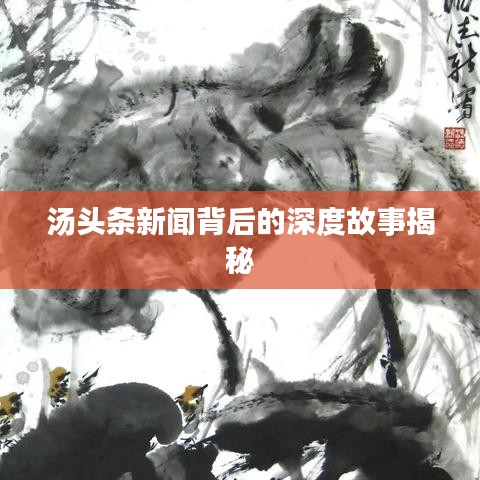 汤头条新闻背后的深度故事揭秘