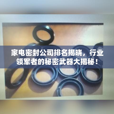 家电密封公司排名揭晓，行业领军者的秘密武器大揭秘！
