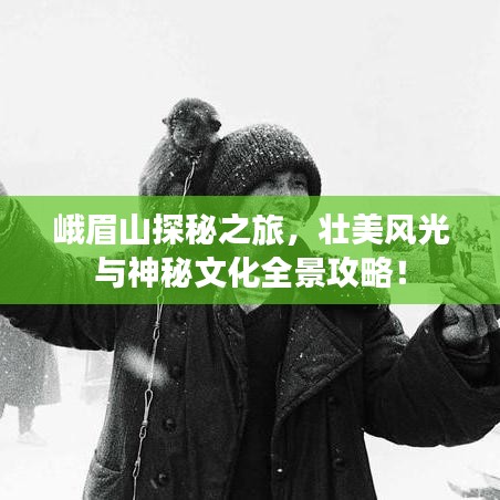 峨眉山探秘之旅，壮美风光与神秘文化全景攻略！