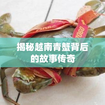 揭秘越南青蟹背后的故事传奇
