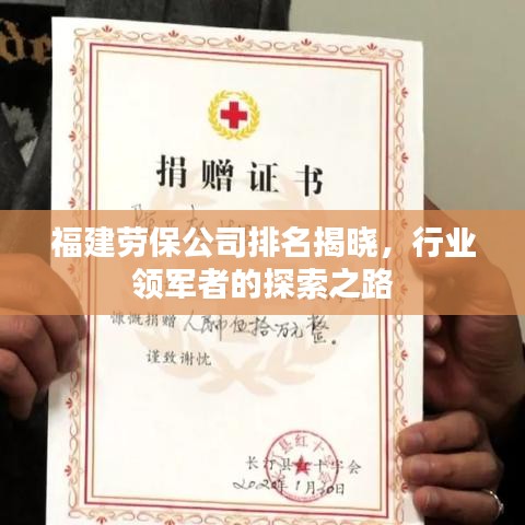 福建劳保公司排名揭晓，行业领军者的探索之路