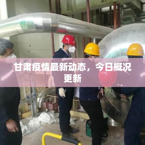甘肃疫情最新动态，今日概况更新