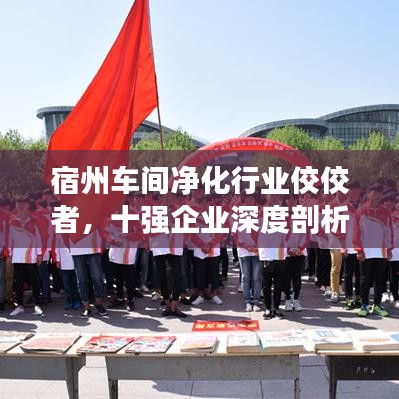 宿州车间净化行业佼佼者，十强企业深度剖析