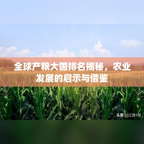 全球产粮大国排名揭秘，农业发展的启示与借鉴