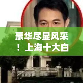 豪华尽显风采！上海十大白色豪宅大盘点