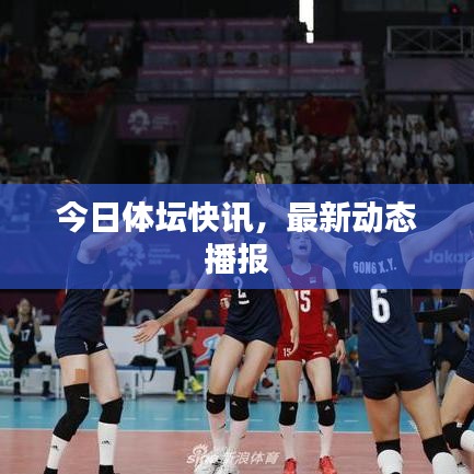 今日体坛快讯，最新动态播报