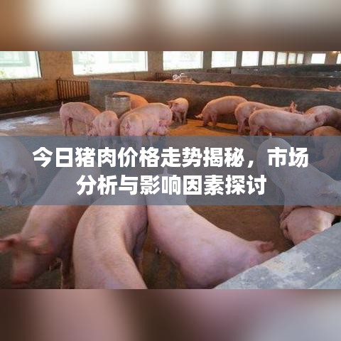 今日猪肉价格走势揭秘，市场分析与影响因素探讨