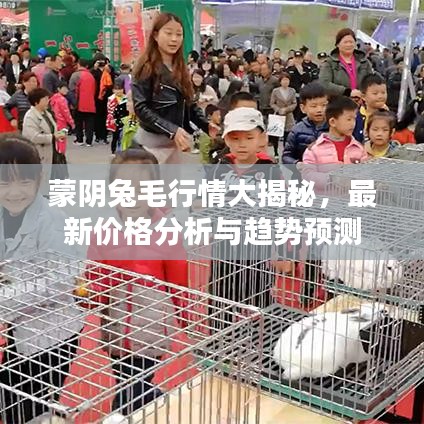 蒙阴兔毛行情大揭秘，最新价格分析与趋势预测