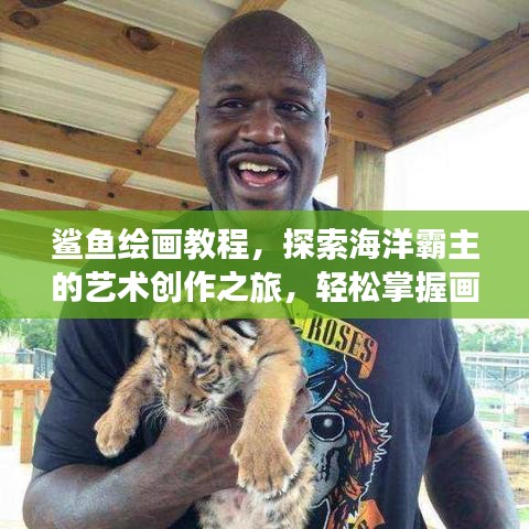 鲨鱼绘画教程，探索海洋霸主的艺术创作之旅，轻松掌握画笔下的鲨鱼风采！