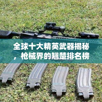 全球十大精英武器揭秘，枪械界的翘楚排名榜单！