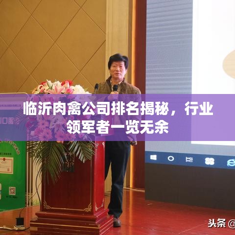 临沂肉禽公司排名揭秘，行业领军者一览无余