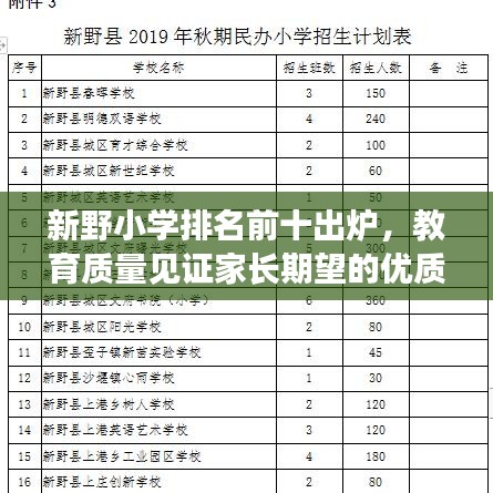 新野小学排名前十出炉，教育质量见证家长期望的优质教育榜单