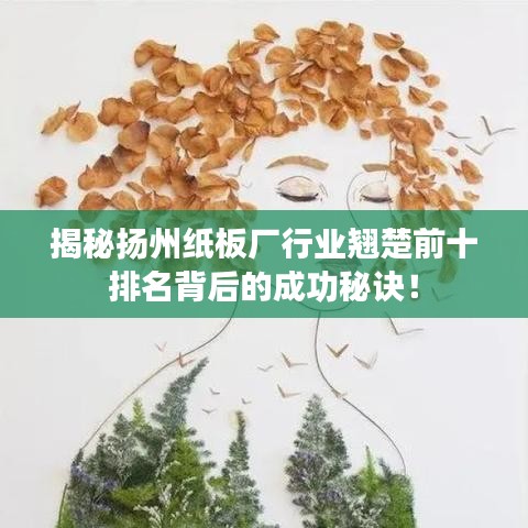 揭秘扬州纸板厂行业翘楚前十排名背后的成功秘诀！