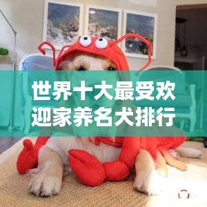 世界十大最受欢迎家养名犬排行榜