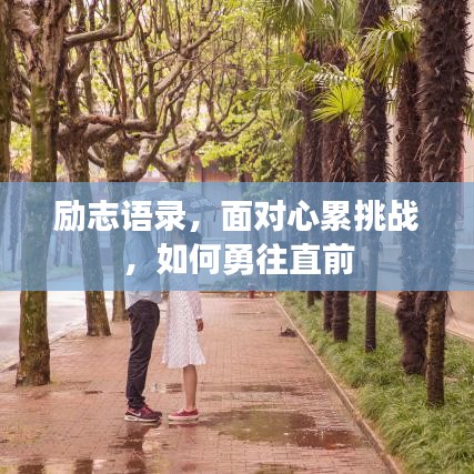 励志语录，面对心累挑战，如何勇往直前