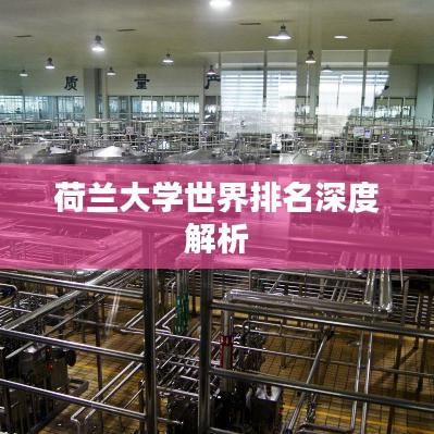 荷兰大学世界排名深度解析