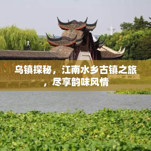 乌镇探秘，江南水乡古镇之旅，尽享韵味风情
