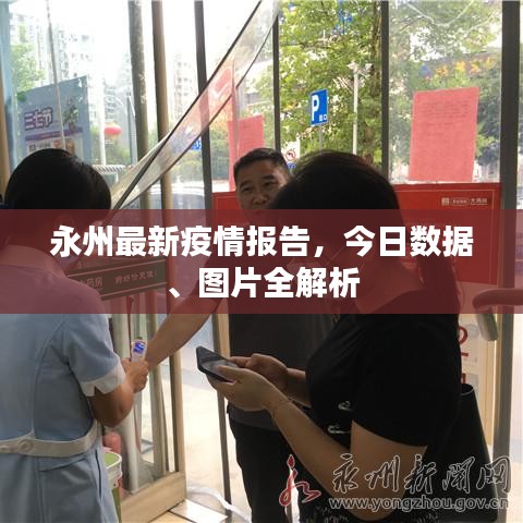 永州最新疫情报告，今日数据、图片全解析