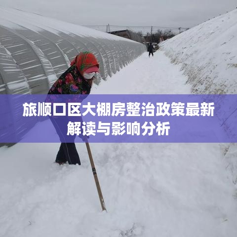 旅顺口区大棚房整治政策最新解读与影响分析