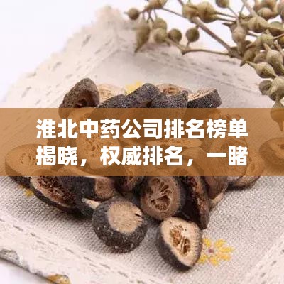 淮北中药公司排名榜单揭晓，权威排名，一睹中药行业巨头风采！