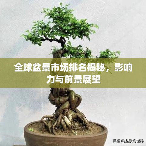 全球盆景市场排名揭秘，影响力与前景展望