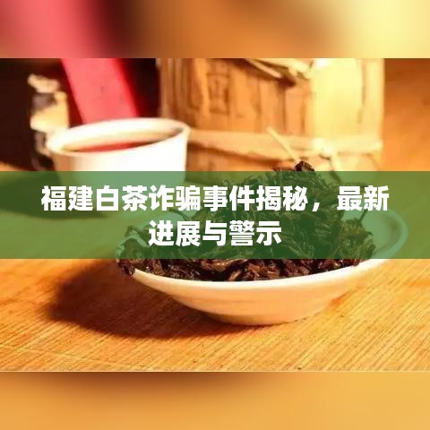 福建白茶诈骗事件揭秘，最新进展与警示