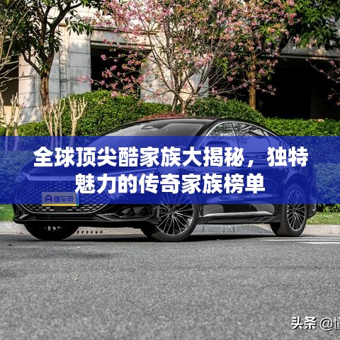 全球顶尖酷家族大揭秘，独特魅力的传奇家族榜单