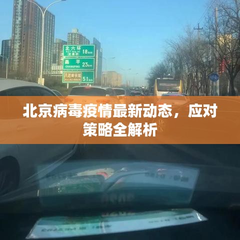 北京病毒疫情最新动态，应对策略全解析