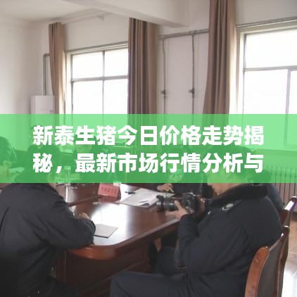 新泰生猪今日价格走势揭秘，最新市场行情分析与预测