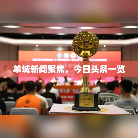 羊城新闻聚焦，今日头条一览