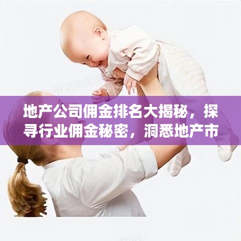 地产公司佣金排名大揭秘，探寻行业佣金秘密，洞悉地产市场内幕！
