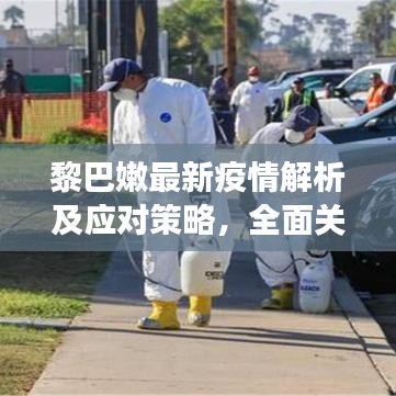 黎巴嫩最新疫情解析及应对策略，全面关注，守护健康
