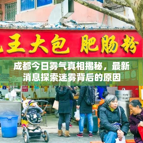 成都今日雾气真相揭秘，最新消息探索迷雾背后的原因
