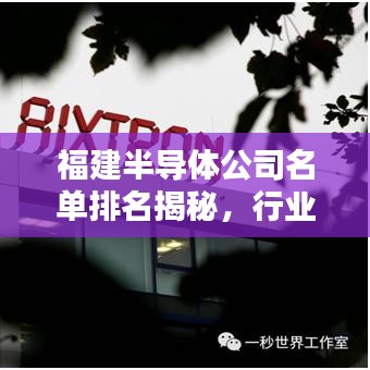 福建半导体公司名单排名揭秘，行业领军者一览无余