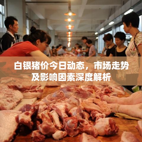 白银猪价今日动态，市场走势及影响因素深度解析
