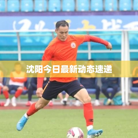 沈阳今日最新动态速递
