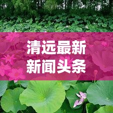 清远最新新闻头条，城市新动向探索