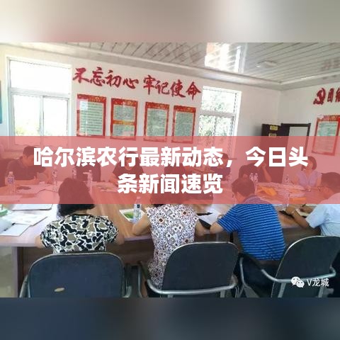 哈尔滨农行最新动态，今日头条新闻速览