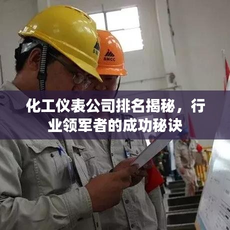 化工仪表公司排名揭秘，行业领军者的成功秘诀