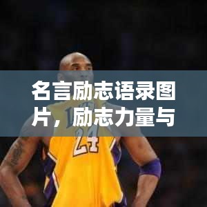 名言励志语录图片，励志力量与文化魅力的完美结合