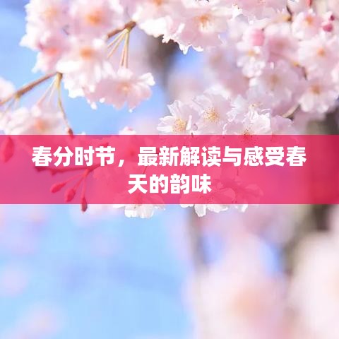 春分时节，最新解读与感受春天的韵味