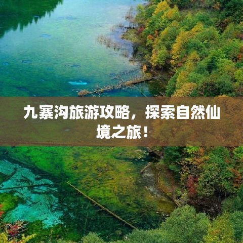 九寨沟旅游攻略，探索自然仙境之旅！