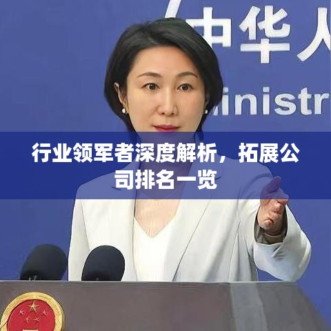 行业领军者深度解析，拓展公司排名一览