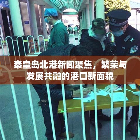 秦皇岛北港新闻聚焦，繁荣与发展共融的港口新面貌
